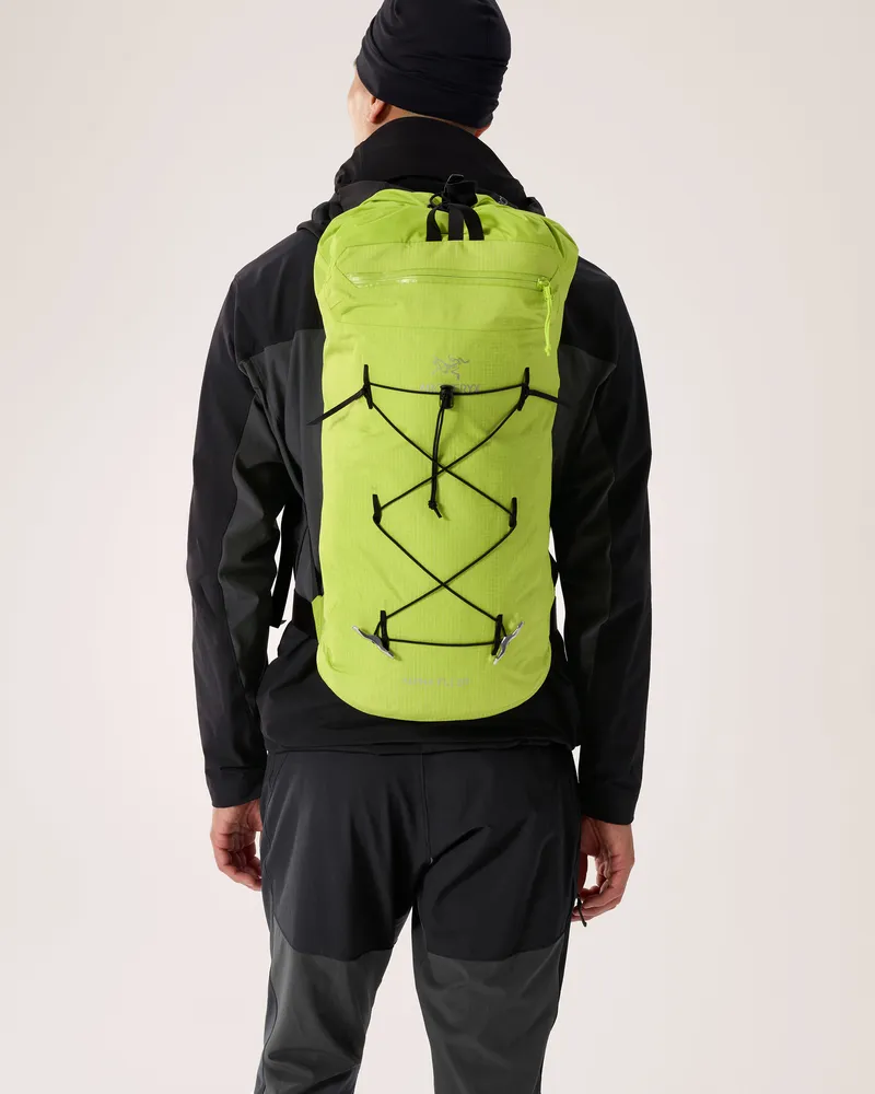 Alpha FL 20 Backpack
