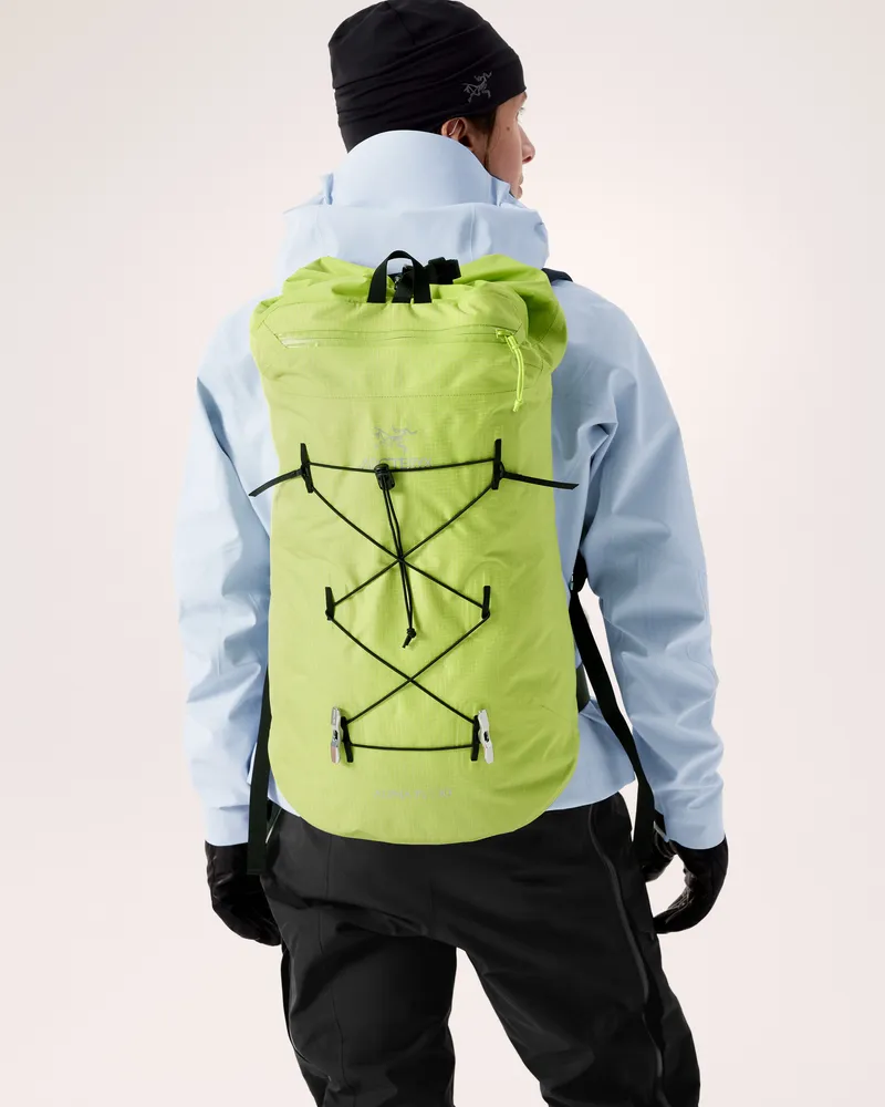 Alpha FL 30 Backpack